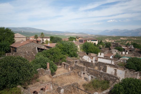 064 Granadilla